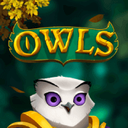 180033_Owls