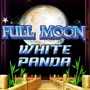 Full_Moon_White_Panda