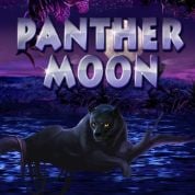 PantherMoon