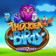 Power_Zones_Thunder_Birds