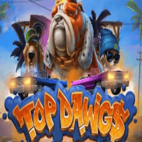 Top_Dawg