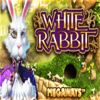 White_Rabbit_NFD